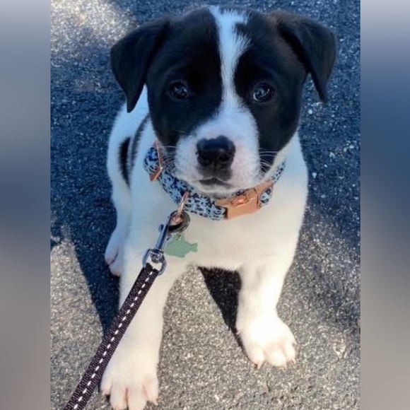 A Girl Thing Jewelry - ❤️LIVE NOW❤️